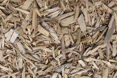 biomass boilers The Brushes